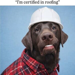 Meet your Posher, Cole